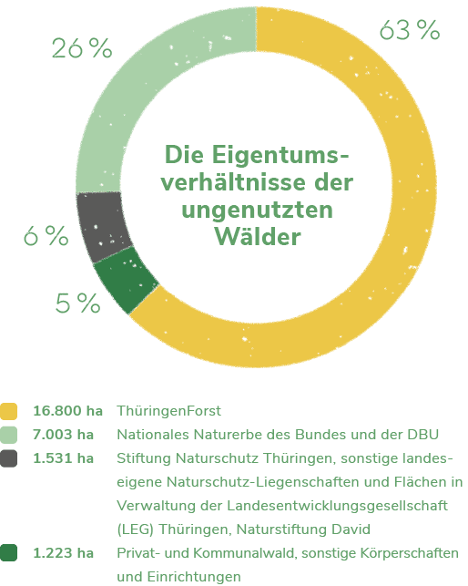 Grafik Eigentumsverhältnisse